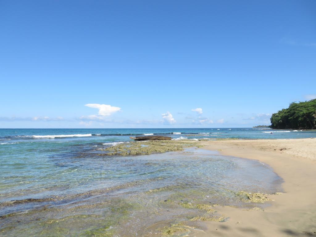 La Kukula Lodge Puerto Viejo de Talamanca Bagian luar foto