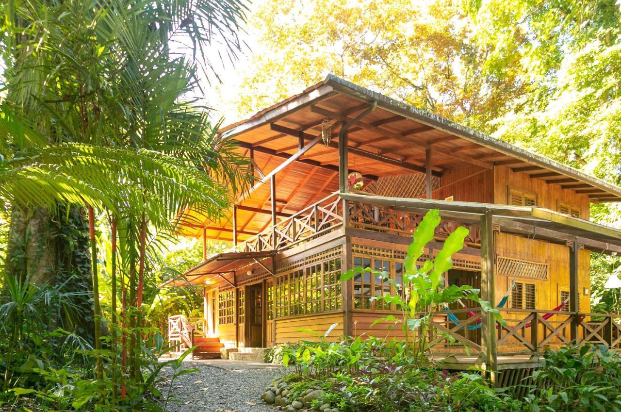 La Kukula Lodge Puerto Viejo de Talamanca Bagian luar foto